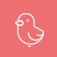 birdy for twitter